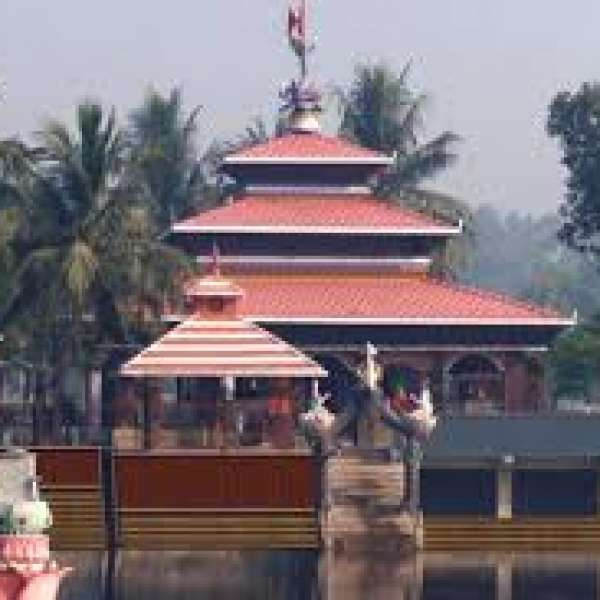 Track image